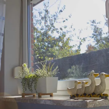 Inselblume 39 - Komfortable Mit Waschmaschine In *