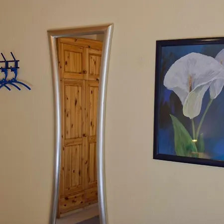 Tatil Evi Inselblume 39 - Komfortable Mit Waschmaschine In *